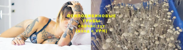 марки nbome Богданович