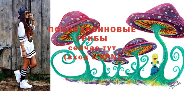 марки nbome Богданович