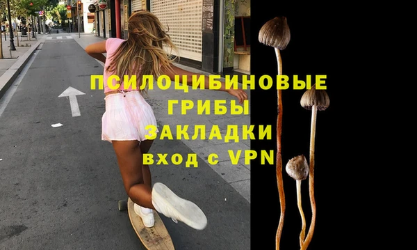 гашишное масло Богородицк