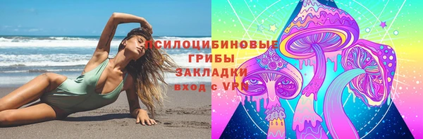 марки nbome Богданович