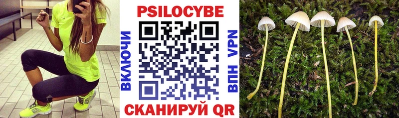 Галлюциногенные грибы ЛСД  цены наркотик  Коряжма 